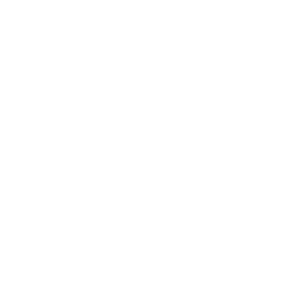 De Vleispaleis logo